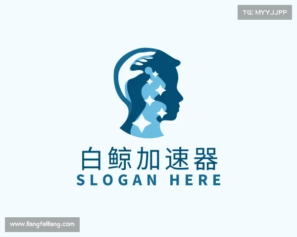 了解白鲸加速器