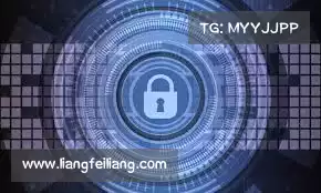 白鲸加速器免费——极速连接，流畅体验，畅享无烦恼的在线世界！